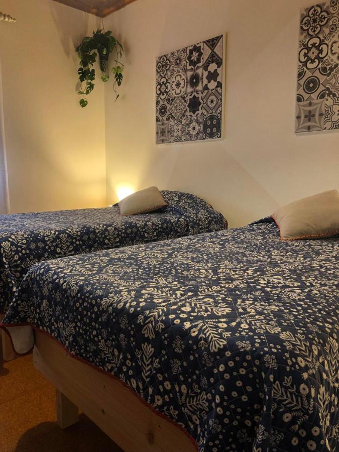 Mojo House Daire Ribeira Grande Dış mekan fotoğraf